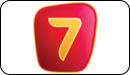 Логотип ТВ-канала Седьмой канал