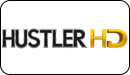 Логотип ТВ-канала Hustler HD