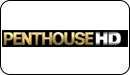 Логотип ТВ-канала Penthouse HD