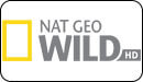 Логотип ТВ-канала National Geo Wild HD