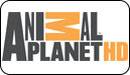 Логотип ТВ-канала Animal Planet HD